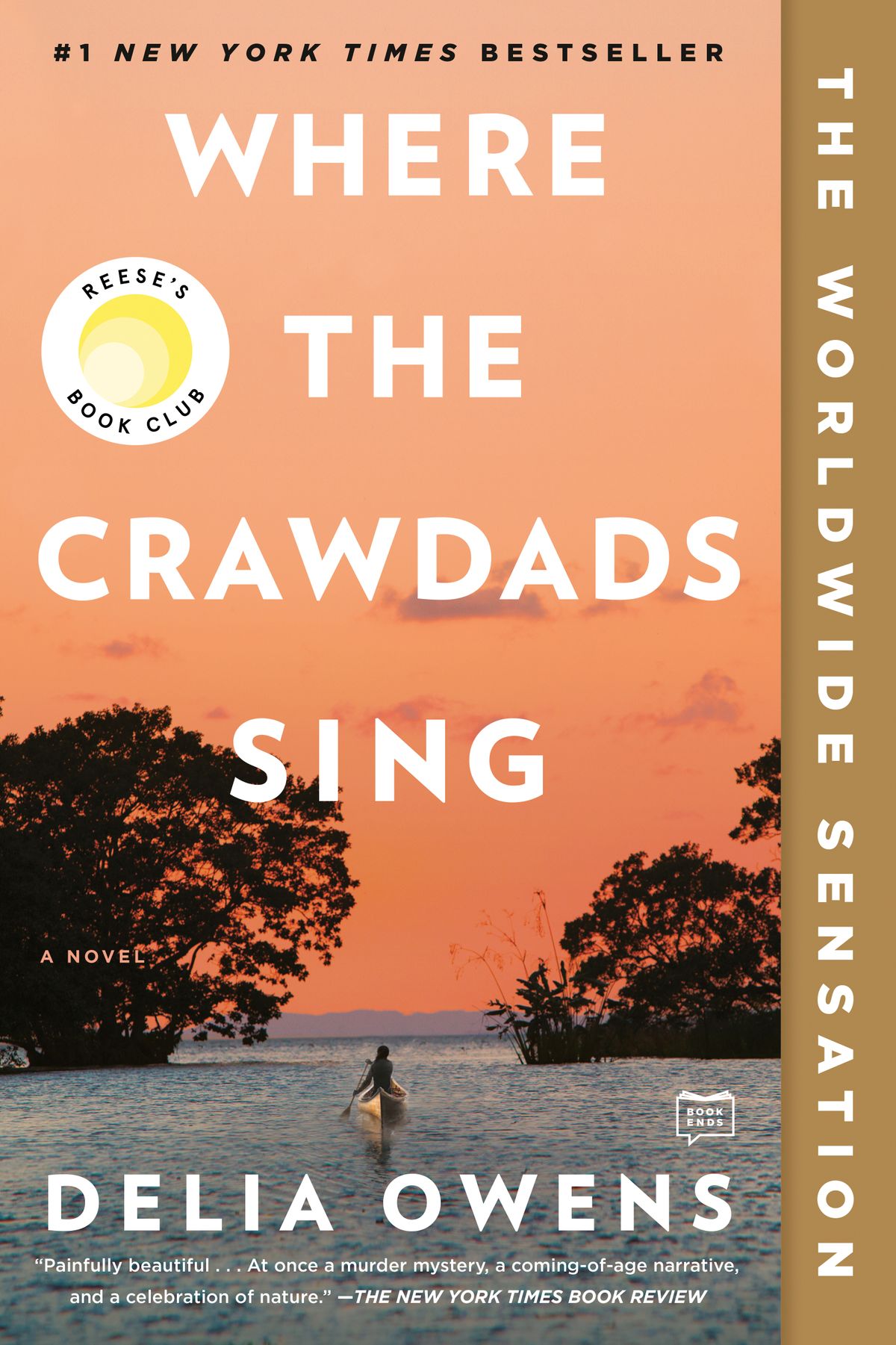 Where the Crawdads Sing - Book Analysis